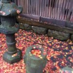 Thumbnail of post image 044