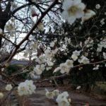 Thumbnail of post image 139